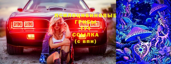 не бодяженный Алексин