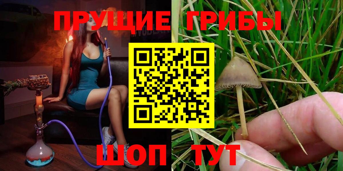 Сокол  Галлюциногенные грибы Psilocybe  Вход с VPN 