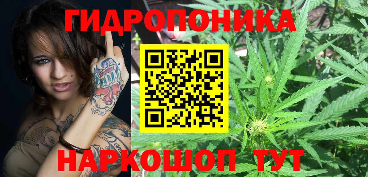 Бошки марихуана SATIVA & INDICA Сокол